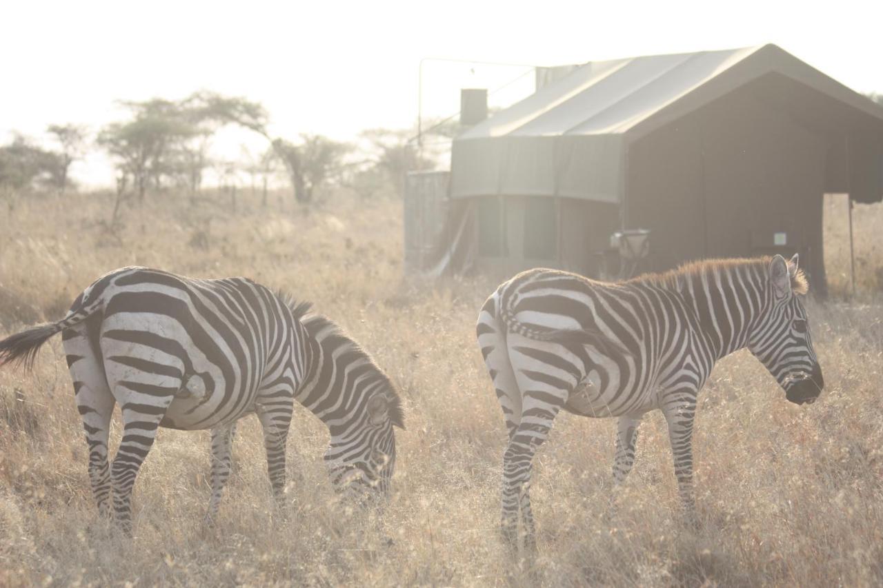 Kananga Special Tented Camp Banagi ภายนอก รูปภาพ