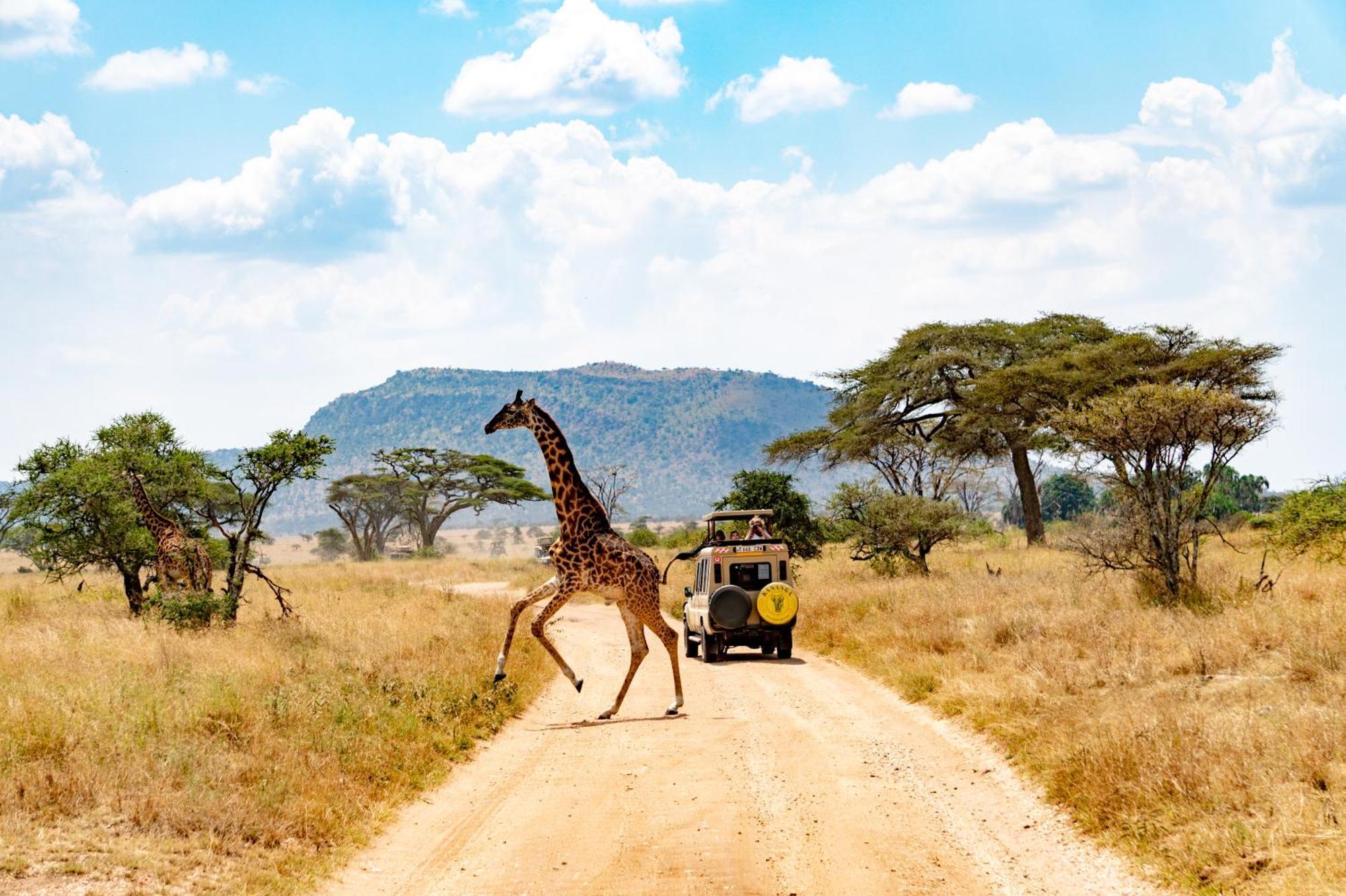 Kananga Special Tented Camp Banagi ภายนอก รูปภาพ