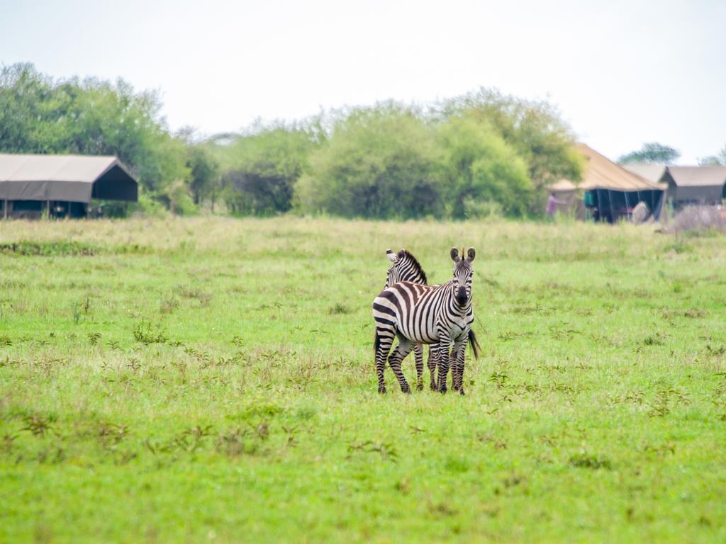 Kananga Special Tented Camp Banagi ภายนอก รูปภาพ
